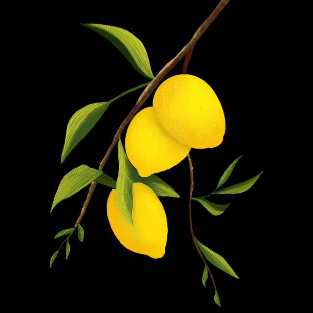 实用-黑料网app全面指南【收藏】 第2张 实用-黑料网app全面指南【收藏】 第2张